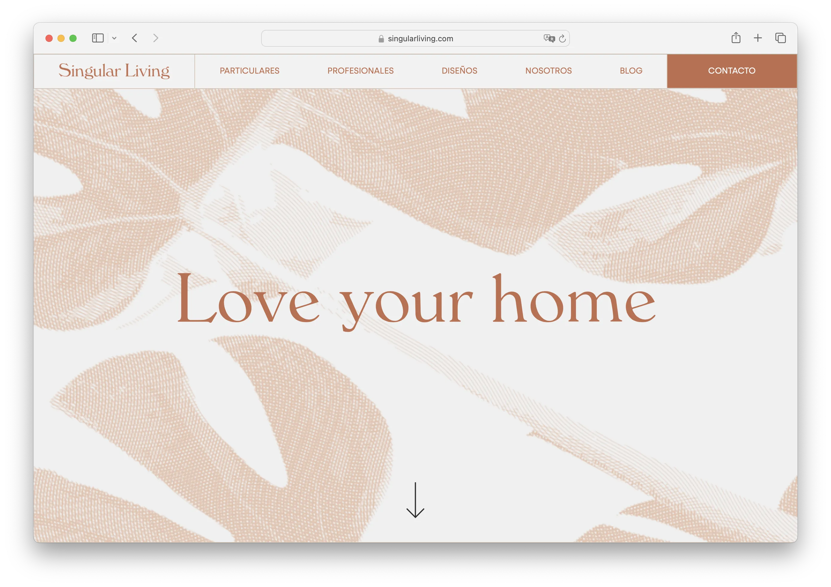 Singular Living — Real estate consultant
