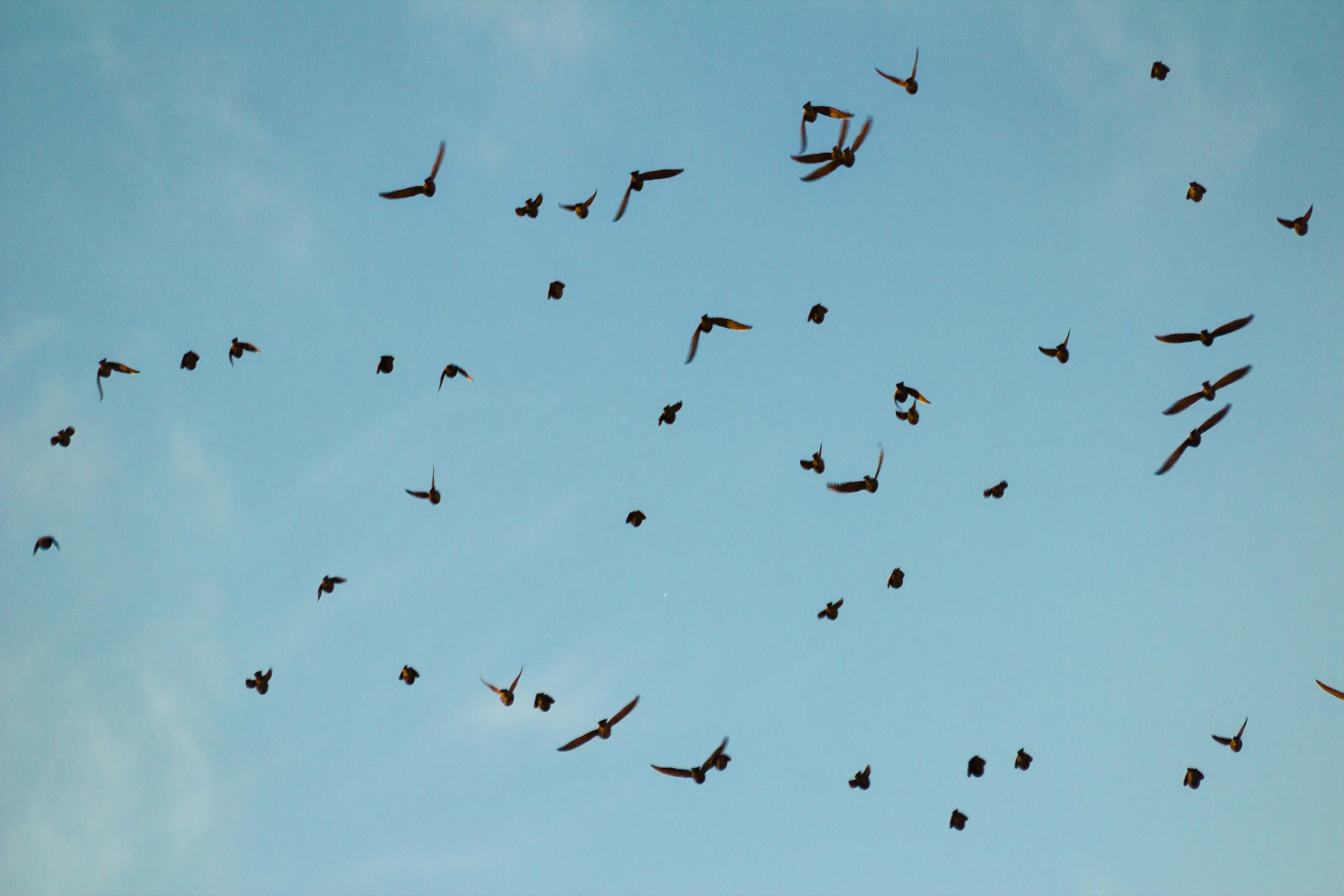 Inteligencia artificial