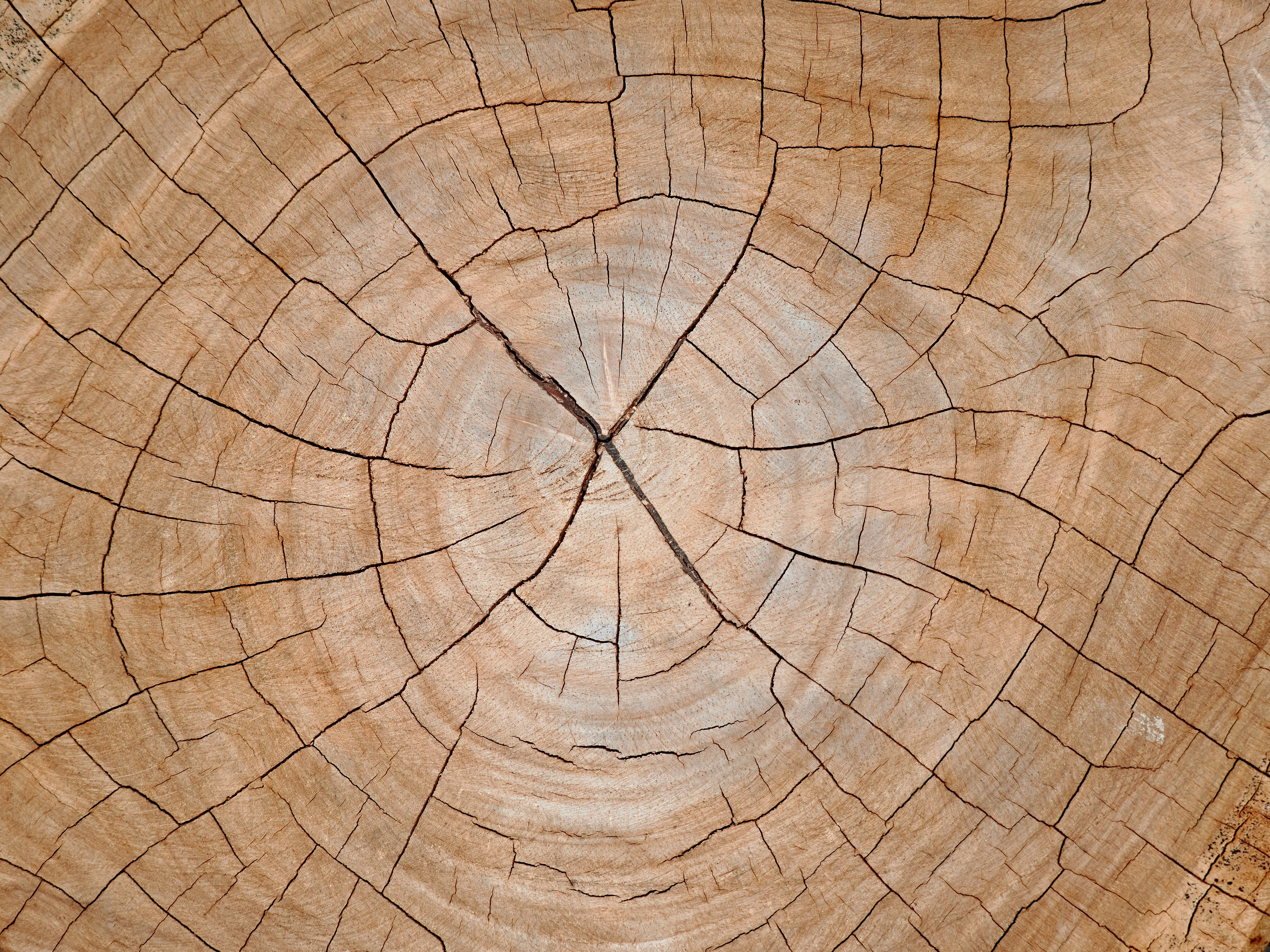 Maintenance & Optimization